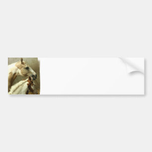 Grey Eventing Horse Bumpersticker