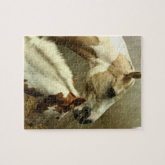 Grey Eventing Horse Puzzle Legpuzzel (Horizontaal)