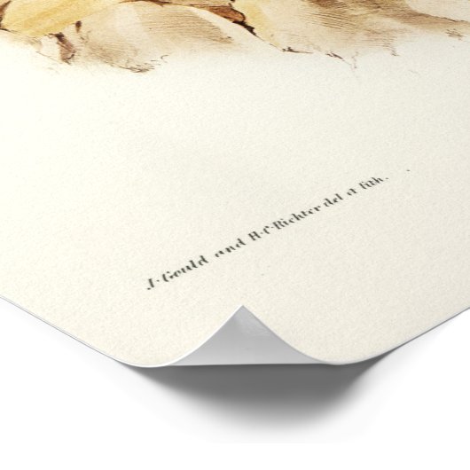 Grey Falcon van Elizabeth Gould Poster (Hoek)