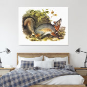 Grey Fox / Grey Fox Audubon's Amerikaanse viervoet Canvas Afdruk (Insitu (Slaapkamer))