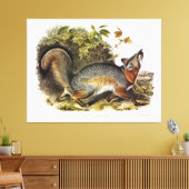 Grey Fox / Grey Fox Audubon's Amerikaanse viervoet Canvas Afdruk (Insitu (Woonkamer))