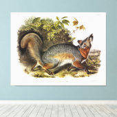 Grey Fox / Grey Fox Audubon's Amerikaanse viervoet Canvas Afdruk (Insitu (Houten vloer))