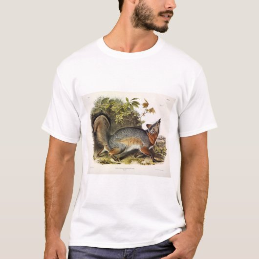 Grey Fox / Grey Fox Audubon's Amerikaanse viervoet T-shirt (Voorkant)