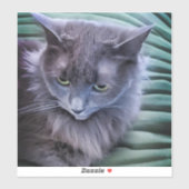 Grey Green Eyed Cat Custom-Cut Vinyl Sticker (Vel)