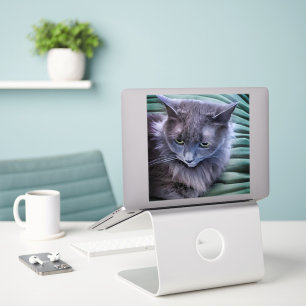 Grey Green Eyed Cat Custom-Cut Vinyl Sticker