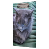 Grey Green Eyed Cat Klembord (Links)