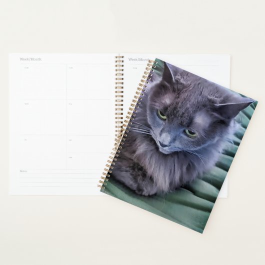 Grey Green Eyed Cat Planner (Display)