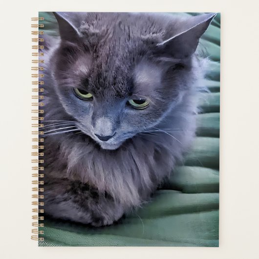 Grey Green Eyed Cat Planner (Voorkant)
