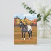 Grey Grulla Appaloosa Grullo Quarter Paard Stallio Briefkaart (Staand voorkant)