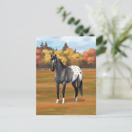 Grey Grulla Appaloosa Grullo Quarter Paard Stallio Briefkaart (Staand voorkant)