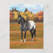 Grey Grulla Appaloosa Grullo Quarter Paard Stallio Briefkaart (Voorkant)