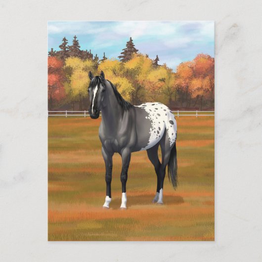 Grey Grulla Appaloosa Grullo Quarter Paard Stallio Briefkaart (Voorkant)