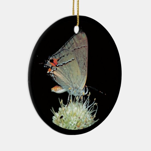 Grey Hairstreak Butterfly Keramisch Ornament (Rechts)