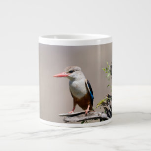 Grey-Headed Kingfisher Grote Koffiekop