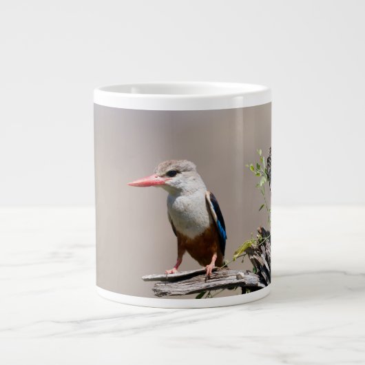 Grey-Headed Kingfisher Grote Koffiekop (Voorkant)