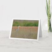 Grey Heron Bird Kaart (Voorkant)