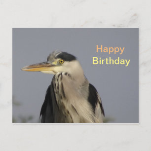 Grey Heron Happy Birthday Briefkaart
