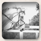 Grey Horse onderzetter (Voorkant)