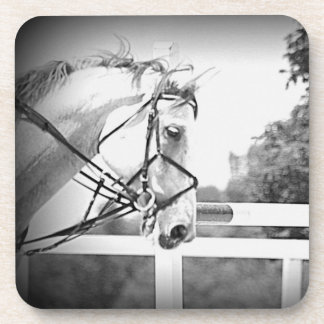 Grey Horse onderzetter