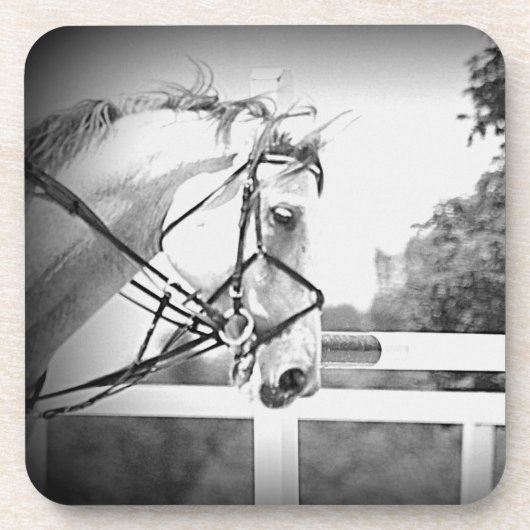 Grey Horse onderzetter (Voorkant)