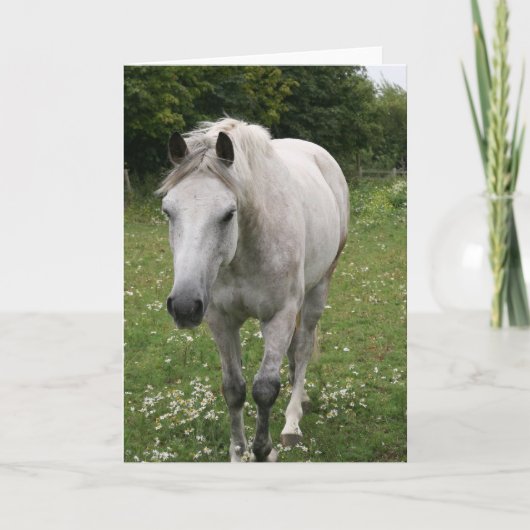 Grey Horse Wenskaart Kaart (Voorkant)