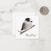 Grey Jay Bird bedankbriefje Notitiekaartje (Voorkant / Achterkant in situ)