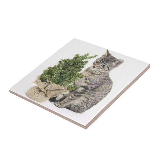 Grey Kat Green Tree Tegeltje (Zijkant)