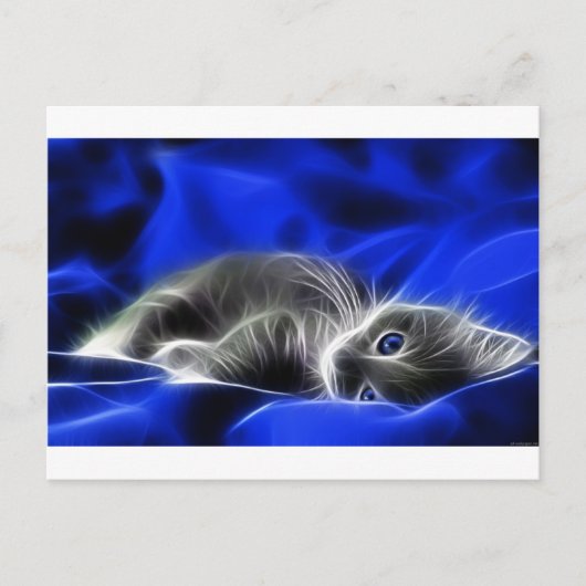 Grey Kitten Awakes Briefkaart (Voorkant)