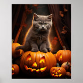 Grey Kitten Halloween Poster (Voorkant)