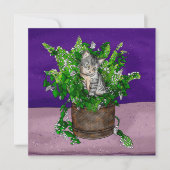 Grey Kitten in Bucket of Catnip Bedankkaart (Voorkant)