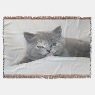 Grey Kitten Licking Snow Deken