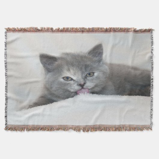 Grey Kitten Licking Snow Deken (Voorkant)