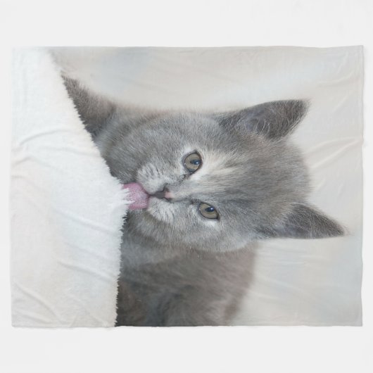 Grey Kitten Licking Snow Fleece Deken (Voorkant (Horizontaal))