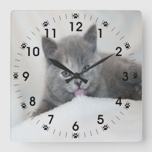 Grey Kitten Licking Snow Vierkante Klok