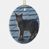 Grey Kitten Ornament (Rechts)