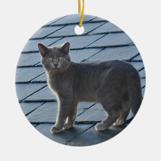 Grey Kitten Ornament (Voorkant)