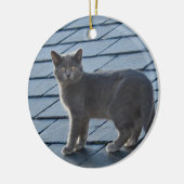 Grey Kitten Ornament (Links)