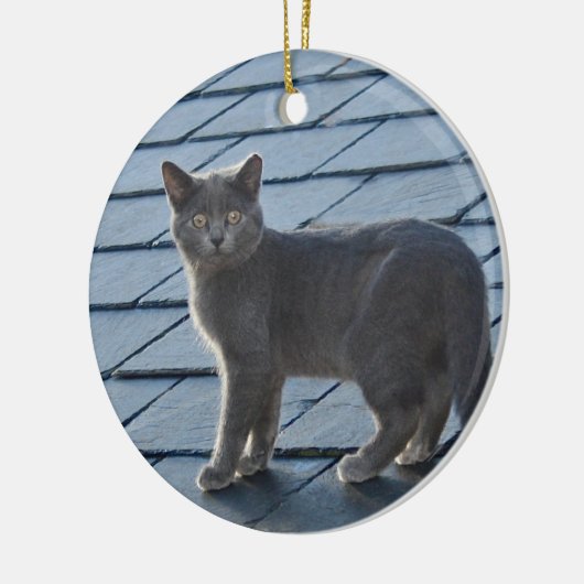Grey Kitten Ornament (Links)