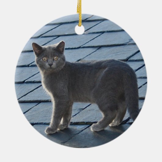 Grey Kitten Ornament (Achterkant)
