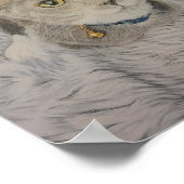 Grey Kitten Poster (Hoek)
