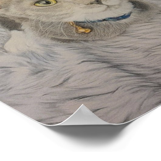 Grey Kitten Poster (Hoek)