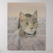 Grey Kitten Poster (Voorkant)