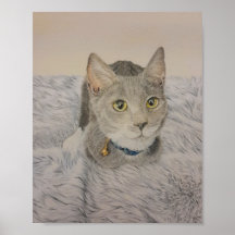 Grey Kitten Poster