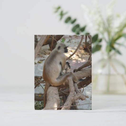 Grey Langur - Neem een Rest Briefkaart (Staand voorkant)