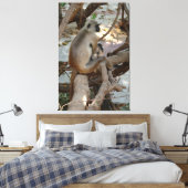 Grey Langur - Neem een Rest Canvas Afdruk (Insitu (Slaapkamer))