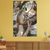 Grey Langur - Neem een Rest Canvas Afdruk (Insitu (Woonkamer))