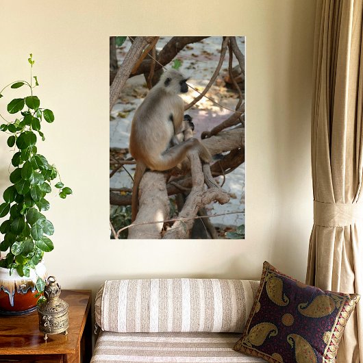Grey Langur - Neem een Rest Canvas Afdruk