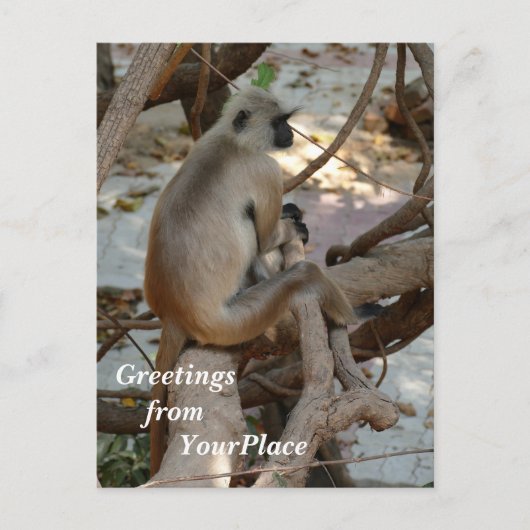 Grey Langur - Neem een Rest Feestdagenkaart (Voorkant)