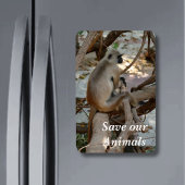 Grey Langur - Neem een Rest Magneet