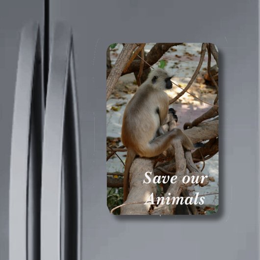 Grey Langur - Neem een Rest Magneet